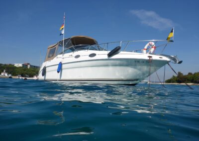 SeaRay 260 DA Sundancer