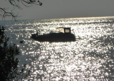 Sea Ray 260 DA Sundancer