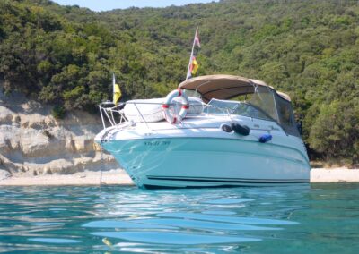 SeaRay 260 DA Sundancer
